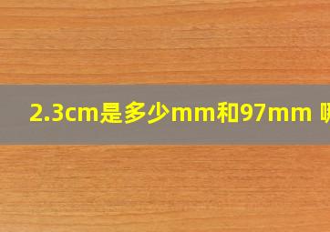 2.3cm是多少mm和97mm 哪个大